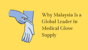 Why Malaysia Is a Global Leader in Medical Glove Supply